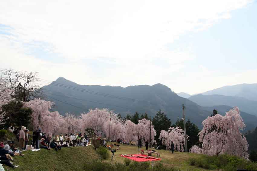 徳島県名西郡神山町「宇佐八幡宮」♪_d0058941_2152684.jpg
