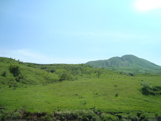 e0060041_10292092.jpg