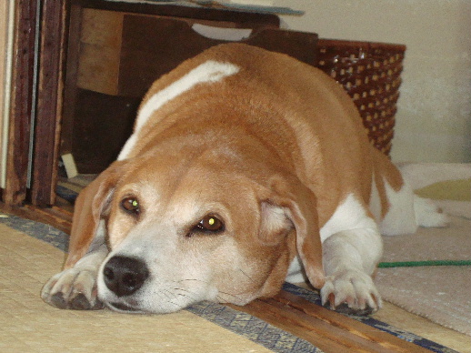 e0060041_103001.jpg