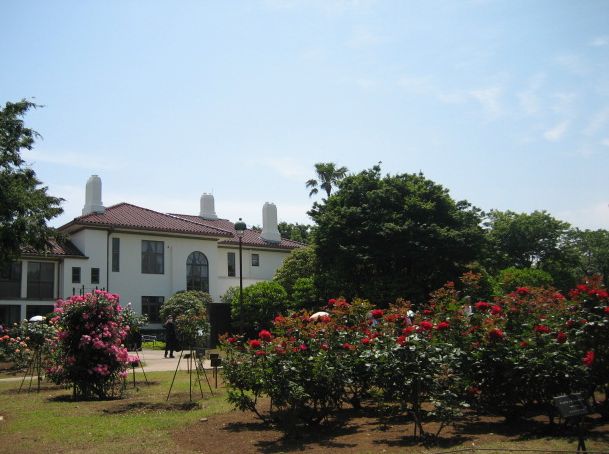 e0082045_1163761.jpg