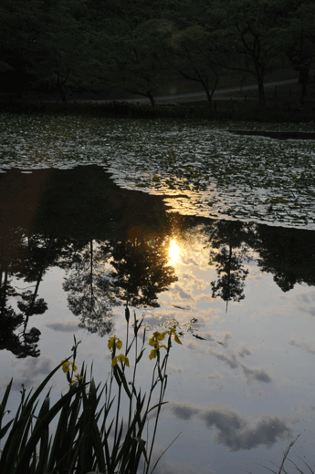 c0093046_730078.gif