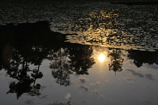 c0093046_7302084.gif