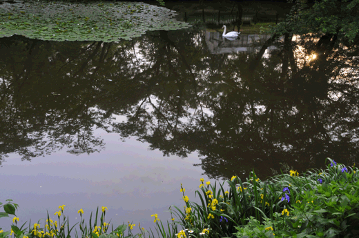 c0093046_7304239.gif