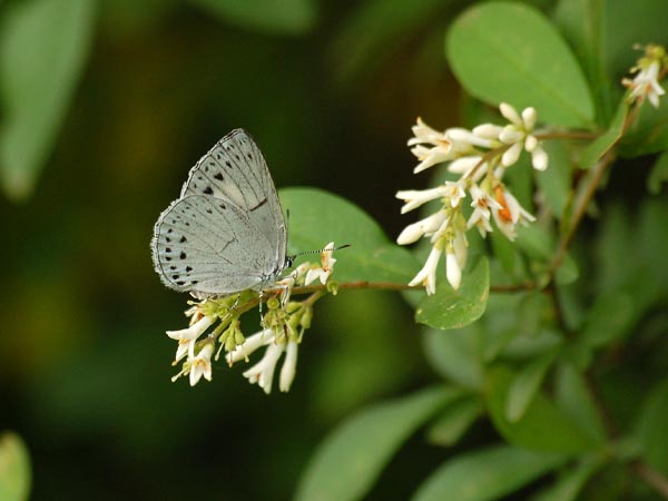 c0045352_15522550.jpg