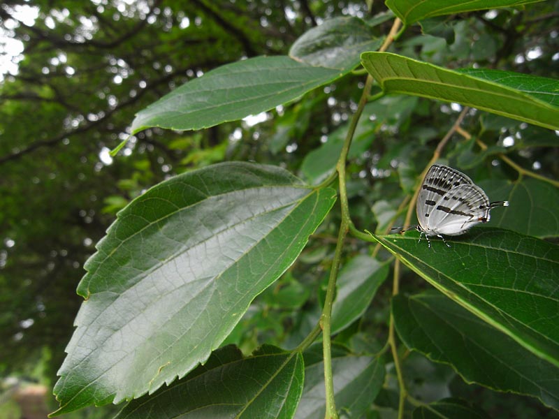 c0045352_15534342.jpg