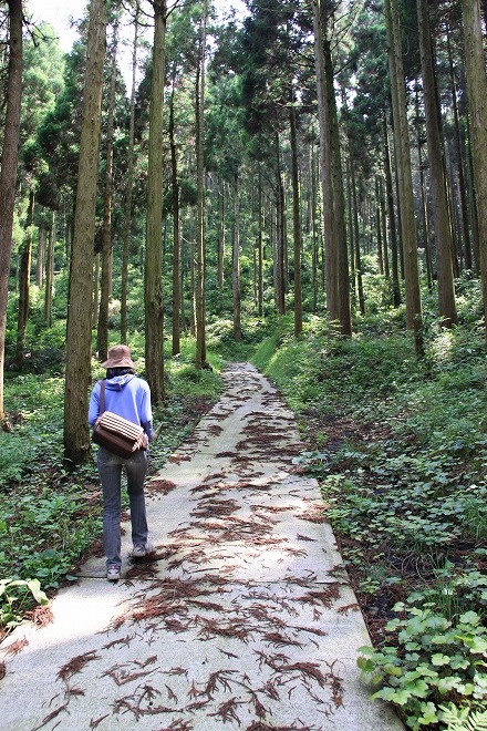 波乗観音様と田子山公園　内牧_b0123359_11111668.jpg