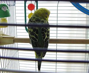 f0196665_01236.jpg