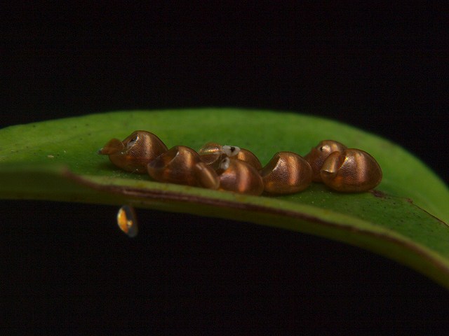 b0135573_2222743.jpg