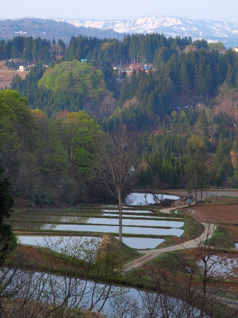 大荒戸の棚田、その1_a0025576_13225020.jpg