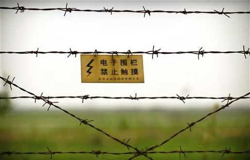 緊急!北の宣戦布告「軍事行動もあり」_d0123476_16213837.jpg