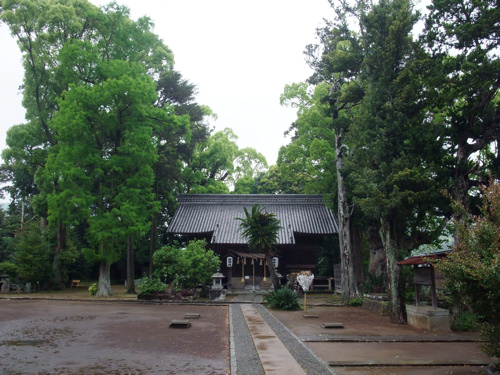 大楠_c0173978_021720.jpg