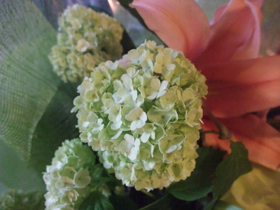 ユリの花束_c0173978_20343840.jpg
