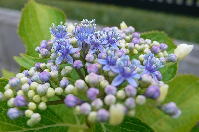 f0138278_15101537.jpg