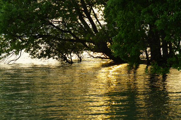 f0192778_21443681.jpg
