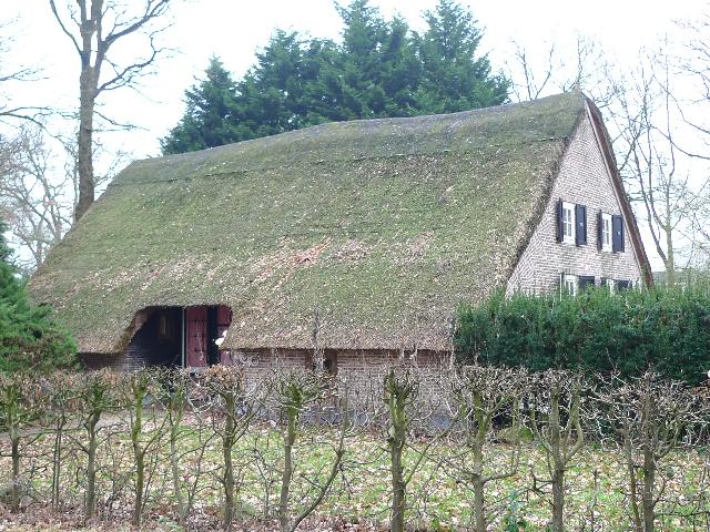 茅葺き屋根 オランダ暮らしブログ