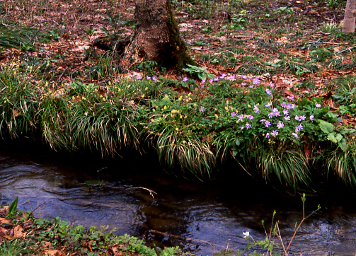 e0165983_14314130.jpg