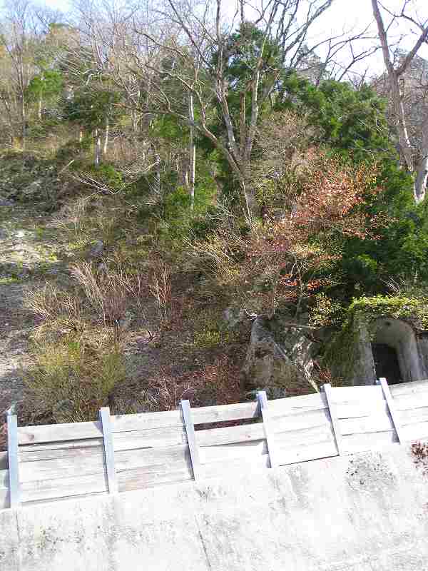 a0062384_19302267.jpg