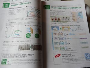 2009年5月27日 日がなデスクワーク_b0098584_5295543.jpg