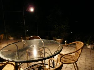 2009年5月27日 日がなデスクワーク_b0098584_5314159.jpg