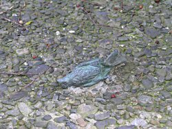 2009年5月27日 日がなデスクワーク_b0098584_615333.jpg