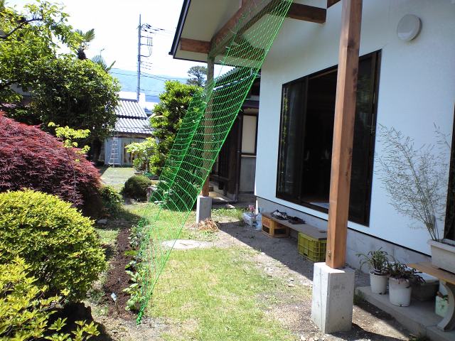 f0197688_22424411.jpg