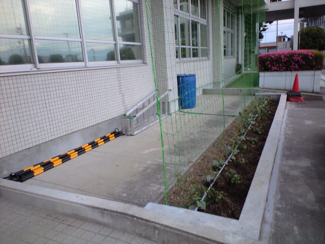 f0197688_230242.jpg