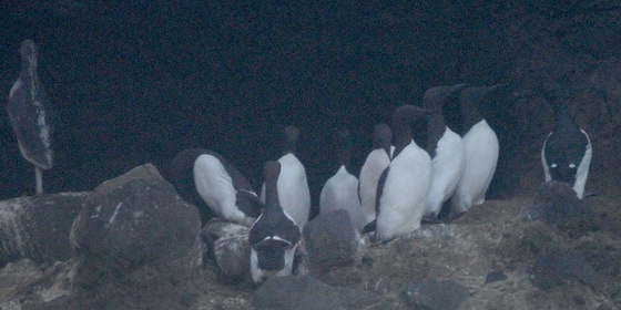 f0159390_9185570.jpg