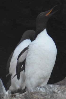 f0159390_9191993.jpg
