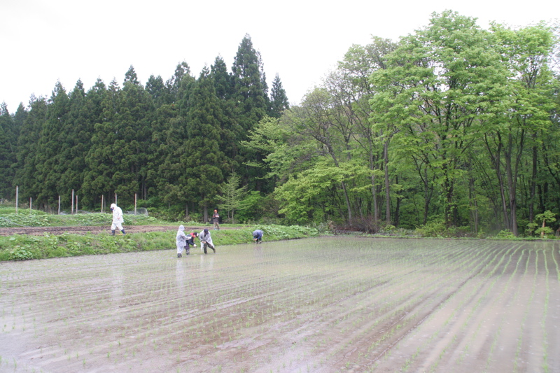 春の窓山まつり&二ツ井支所だより_f0090602_10244910.jpg