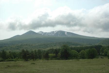 d0072903_011299.jpg