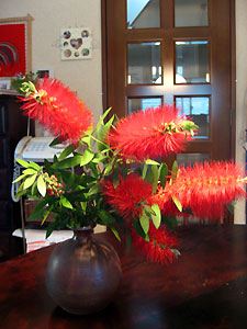 e0118904_20353838.jpg