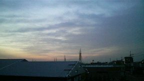 a0098307_1272518.jpg