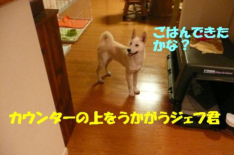 f0121712_1145201.jpg