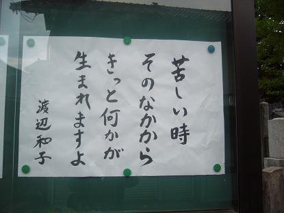 草仏教掲示板 ２４ 渡辺和子さんの言葉 草仏教ブログ