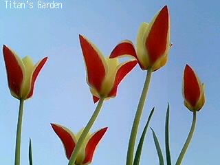 b0099813_061239.jpg