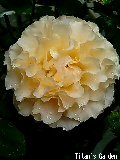 b0099813_063610.jpg