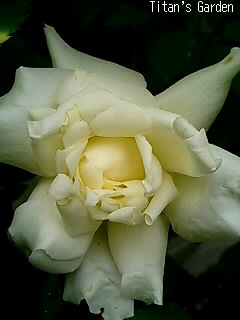 b0099813_063624.jpg