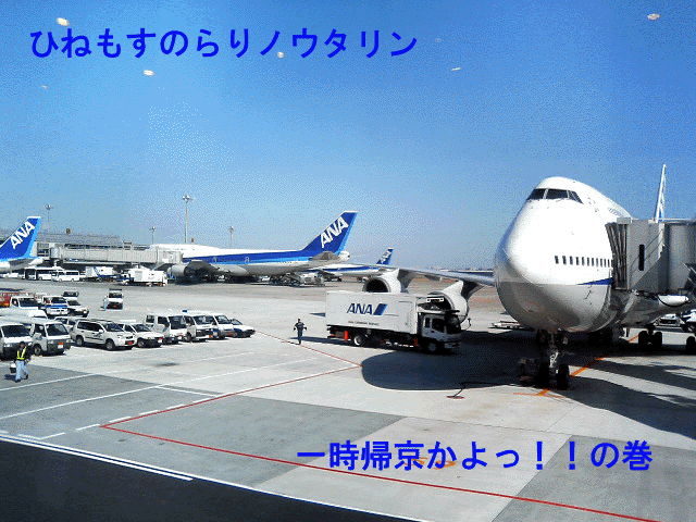 b0182613_12245825.gif