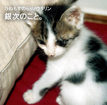 b0182613_13452748.gif