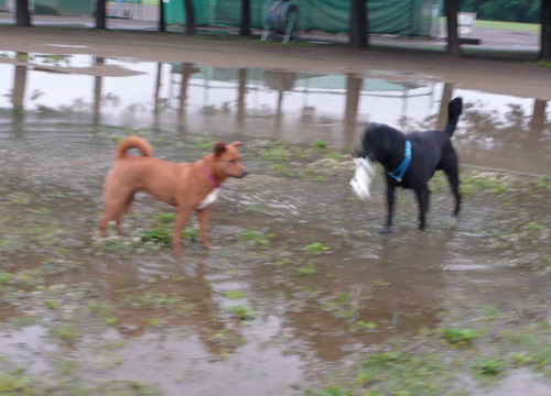 c0101713_2139154.jpg