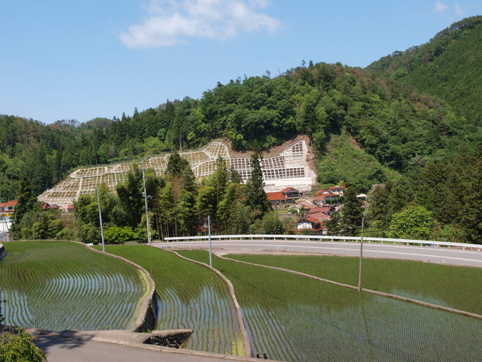 今日の田んぼ_c0116915_1740383.jpg