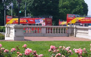 e0049015_3415591.jpg