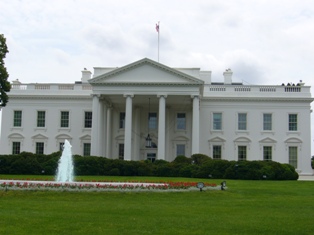e0049015_434318.jpg
