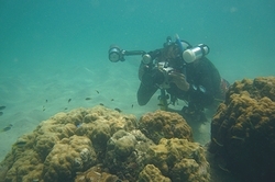 b0155916_11551730.jpg