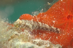 b0155916_11585496.jpg