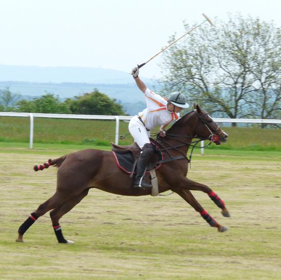 イギリスのスポーツ Polo観戦 続 ｕｋプチ セレブ 日記