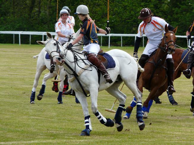 イギリスのスポーツ Polo観戦 続 ｕｋプチ セレブ 日記