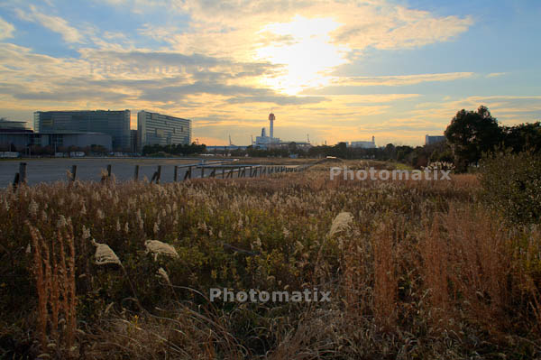 引き続きPhotomatix Pro 3.0 体験版を試用_f0077521_17375210.jpg