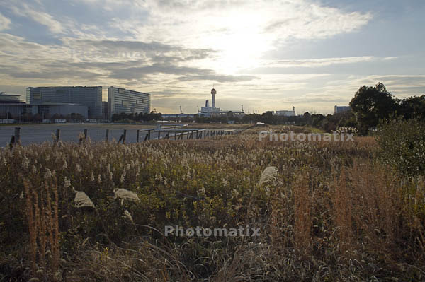 引き続きPhotomatix Pro 3.0 体験版を試用_f0077521_20451588.jpg