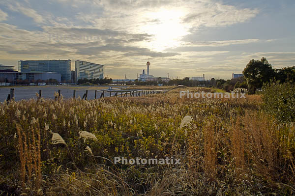 引き続きPhotomatix Pro 3.0 体験版を試用_f0077521_205682.jpg